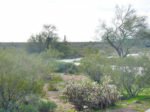 Phoenix Sonoran Desert Preserve: Hiking, Mountain Biking and Horseback Riding