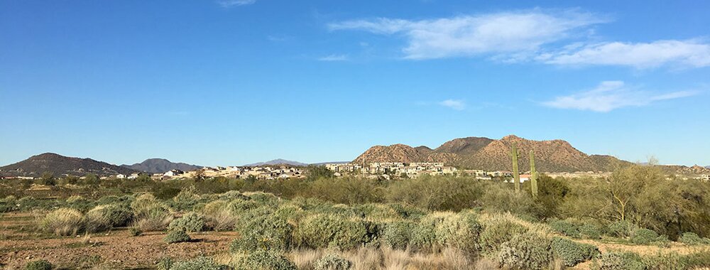 north phoenix sonoran desert