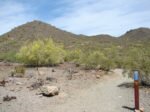 Phoenix Sonoran Desert Preserve: Hiking, Mountain Biking and Horseback Riding