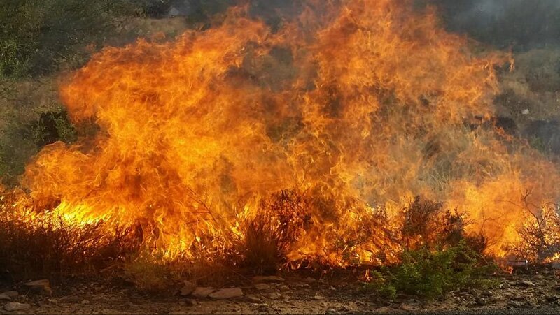 fire near i-17 and bumble bee exit