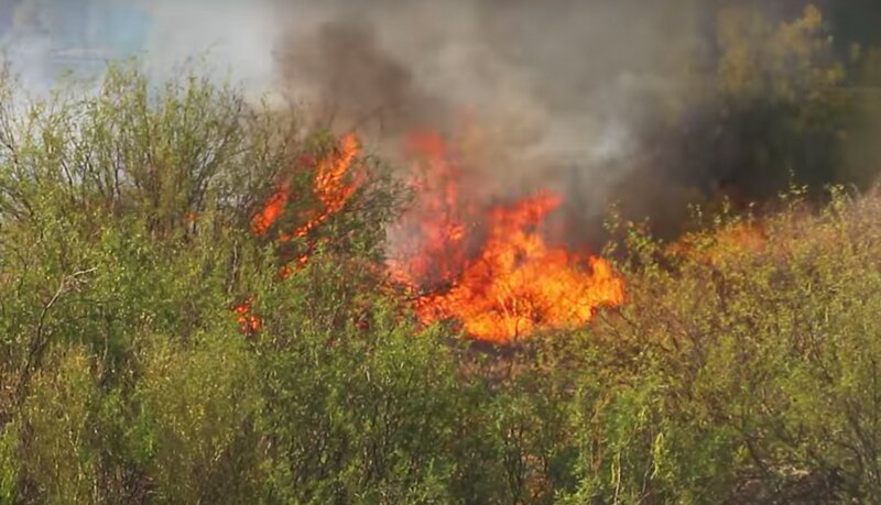 anthem brush fire