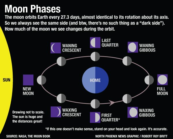 moon phases graphic