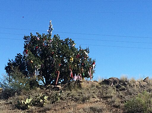 mystery tree brush fire